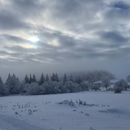 Vila Jirotovy Boudy I Telnice Exteriér fotografie