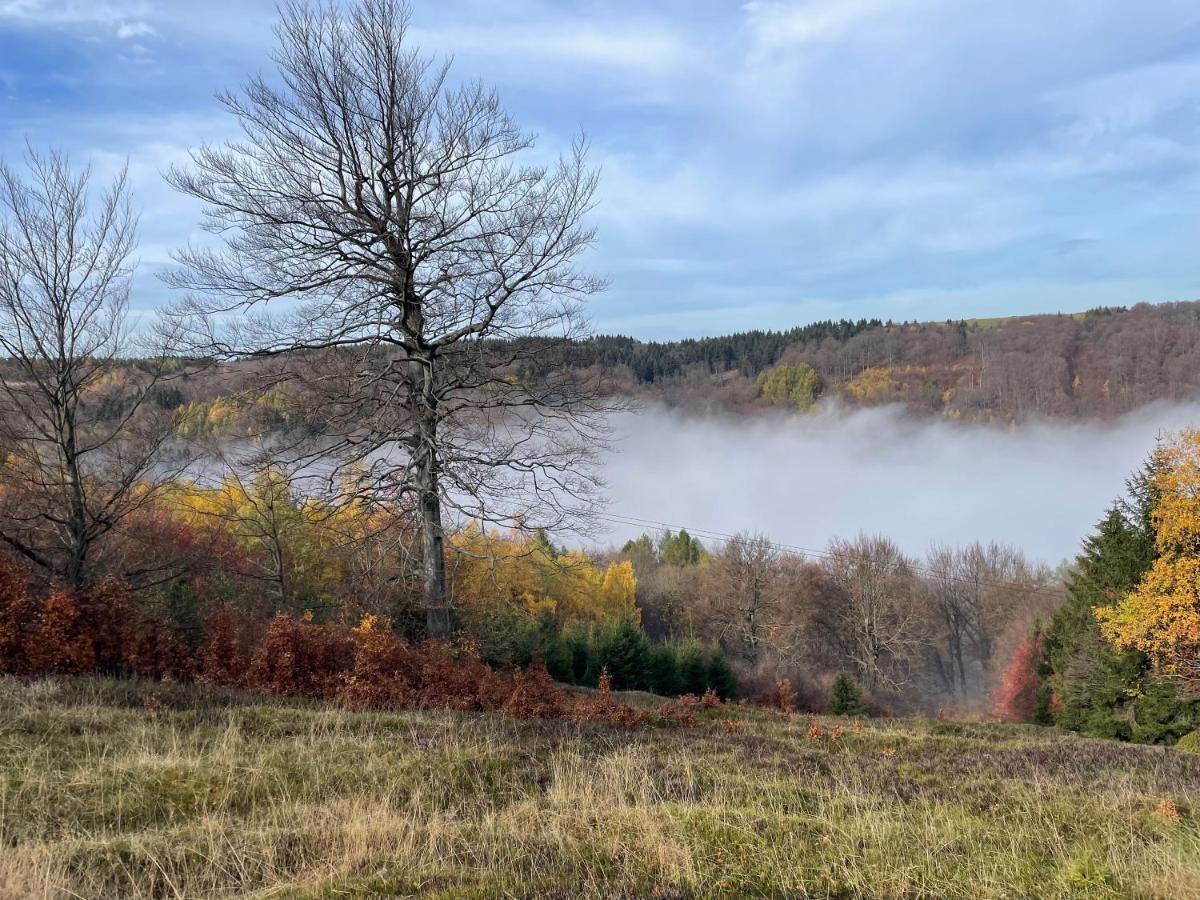 Vila Jirotovy Boudy I Telnice Exteriér fotografie
