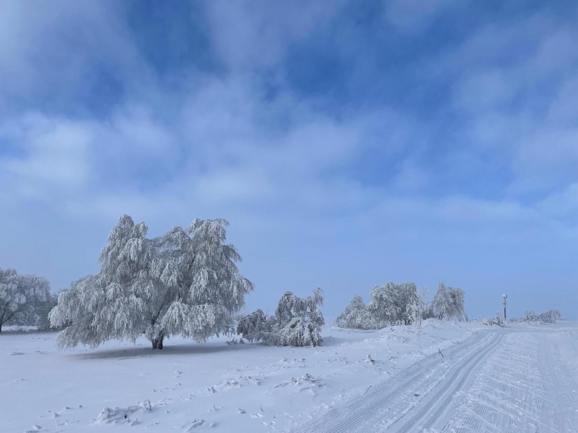 Vila Jirotovy Boudy I Telnice Exteriér fotografie