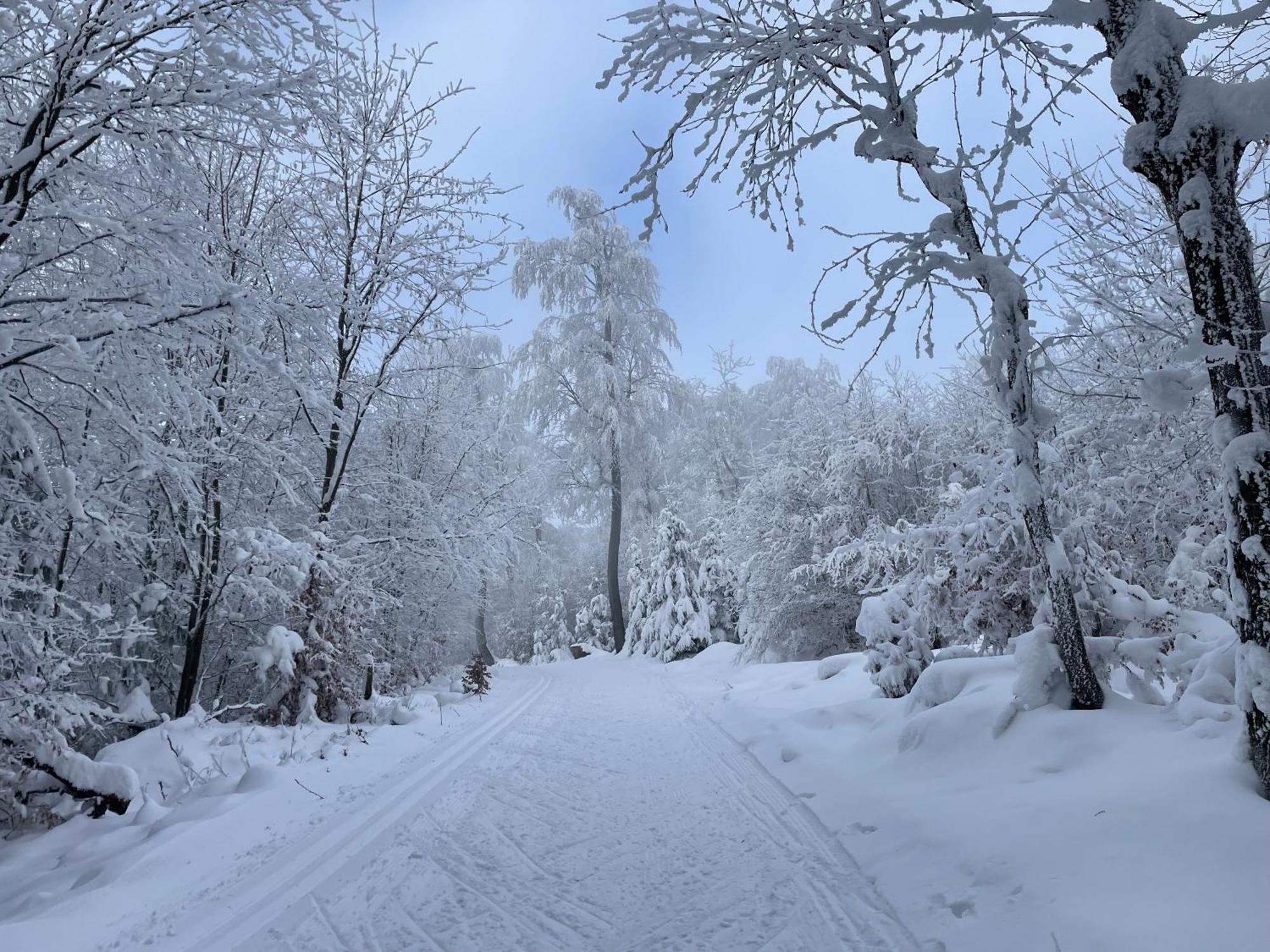 Vila Jirotovy Boudy I Telnice Exteriér fotografie